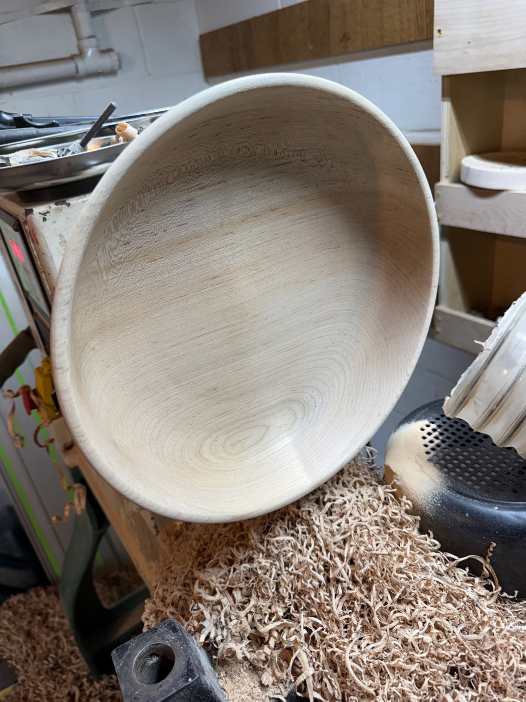 Hard maple bowl, large